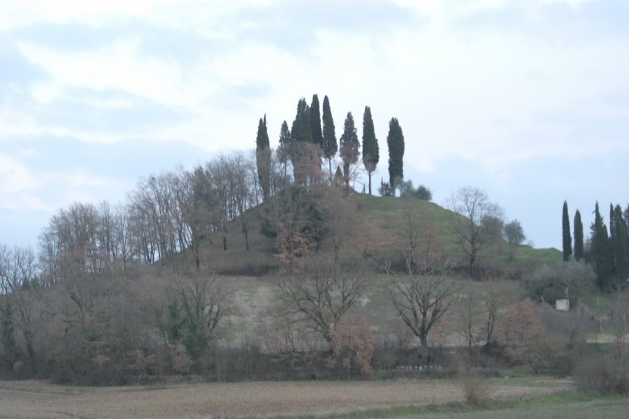 Il ripido poggio di Monteaperti che fu uno degli epicentri della battaglia e su cui oggi è innalzato un ceppo commemorativo.