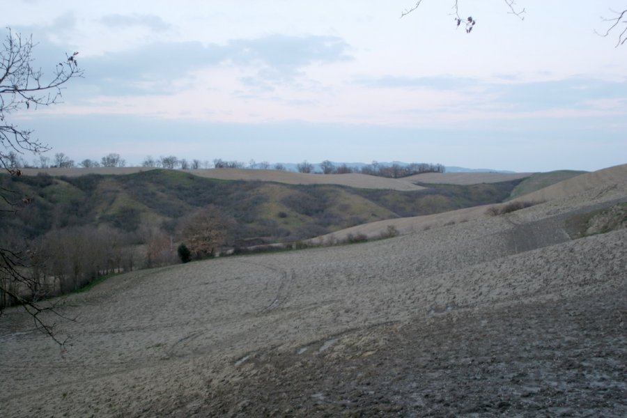 Le colline su cui erano schierati i guelfi.